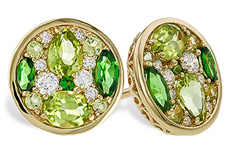 A284-12928: EARR 1.03 TW SEMI-PRECIOUS (TSAV, PER) 1.19 TGW