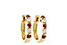 C010-48382: EARRINGS .33 RUBY .52 TGW