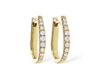 D199-57518: EARR .25 TW