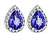 D199-60255: EARR 1.15 TW TANZANITE 1.32 TGW