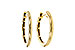 D284-16555: GOLD EARRINGS (16MM)
