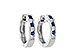 F010-48364: EARRINGS .16 SAPP .26 TGW