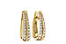 G284-12073: EARRINGS 1.00 TW