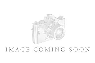 H282-35636: E193-22909 IN PLATINUM .33 TW