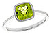 L283-23900: LDS RG 1.48 PERIDOT