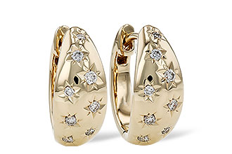 L285-00236: EARRINGS .17 TW